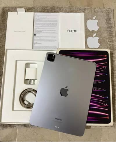 IPAD pro 11-inch 4th Gen 256GB