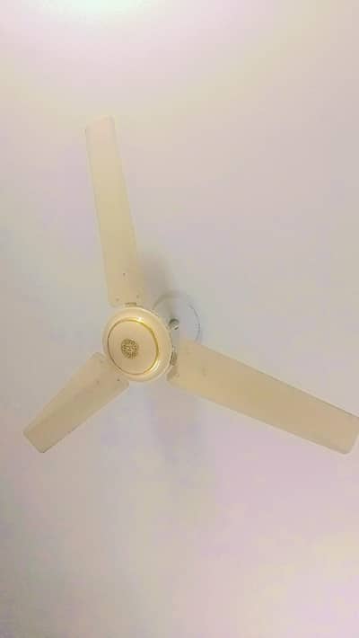 Awami Fan