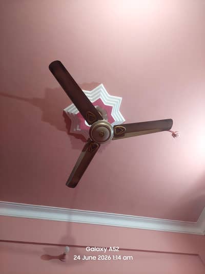 Pak Fan