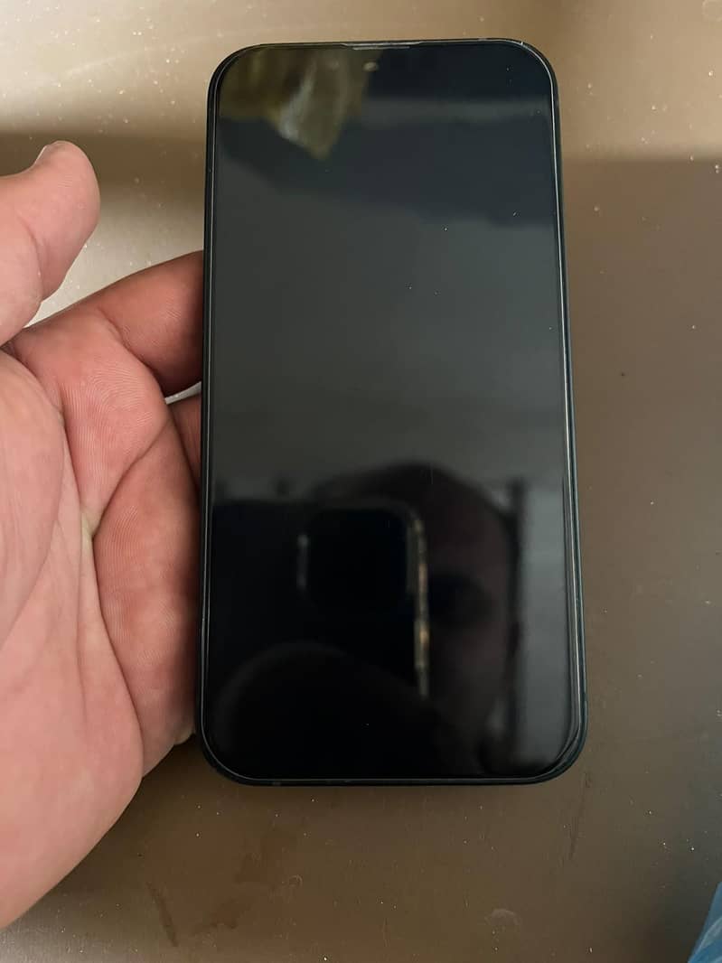 Apple iPhone 13 0