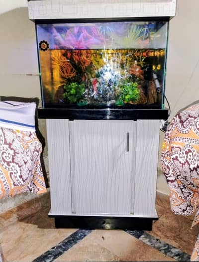 2 Feet Aquarium