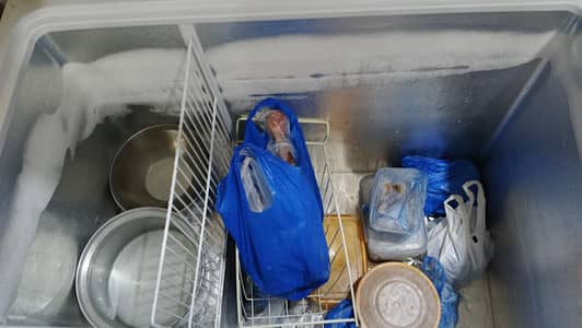 waves freezer lush condition