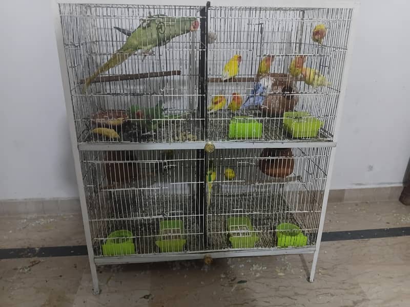 4 portion angle cage 1