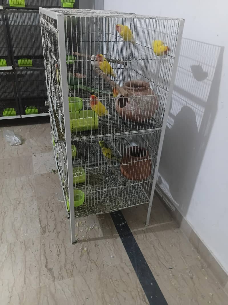 4 portion angle cage 3