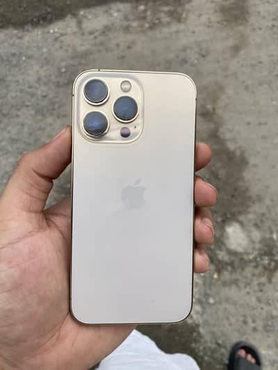 Apple iPhone 13 Pro