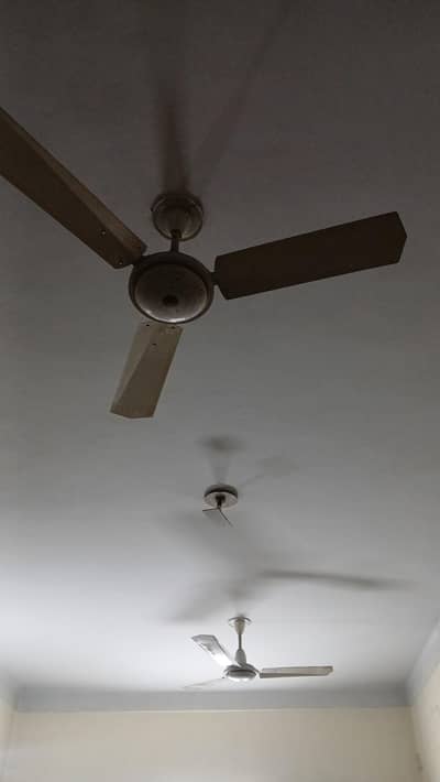 2 selling fans