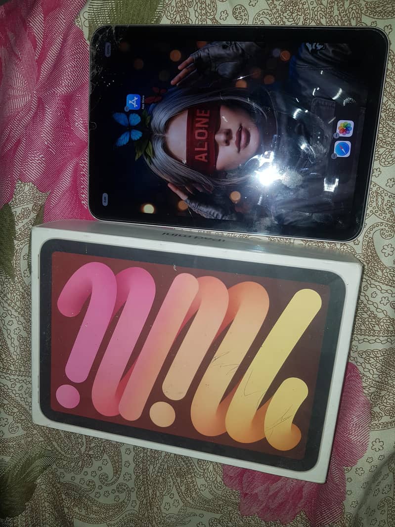 ipad mini 6 0