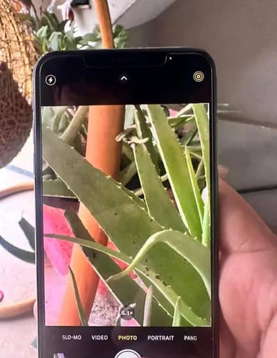 Apple iPhone XS Max JV