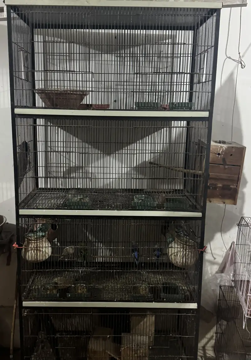 cage for sale