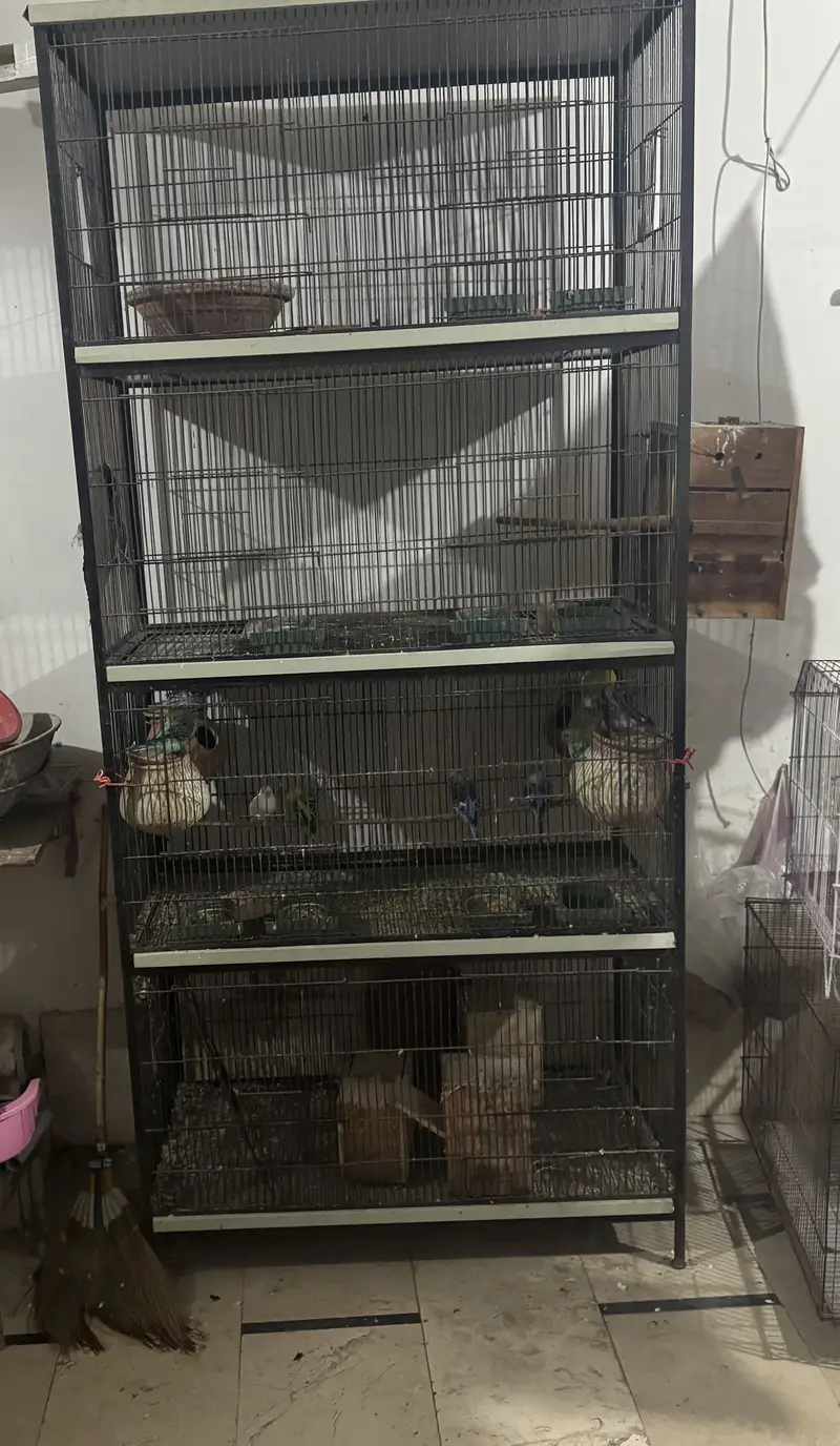 cage for sale — photo 2