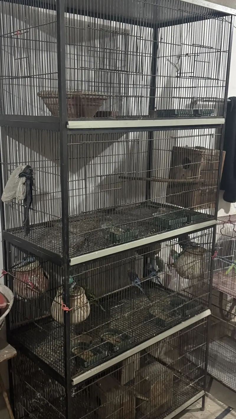 cage for sale — photo 3
