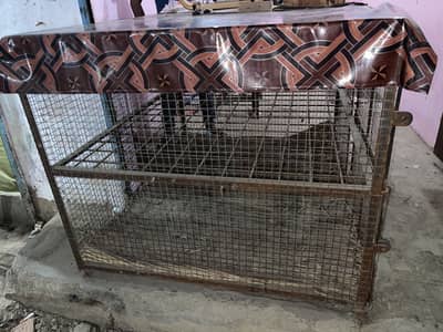Chicken cage. Chicken cage for shop , chicken pinjra