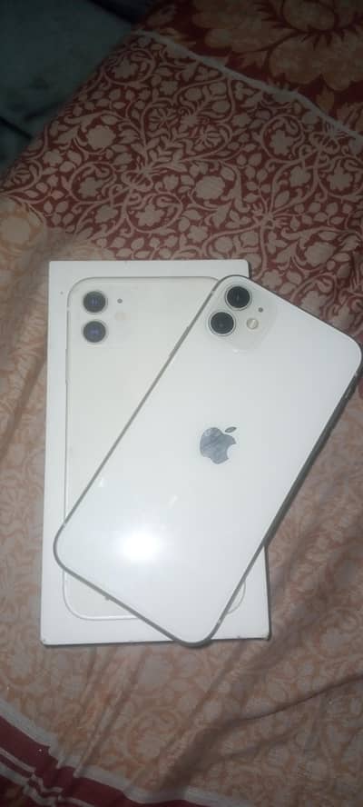 Apple iPhone 11 dead