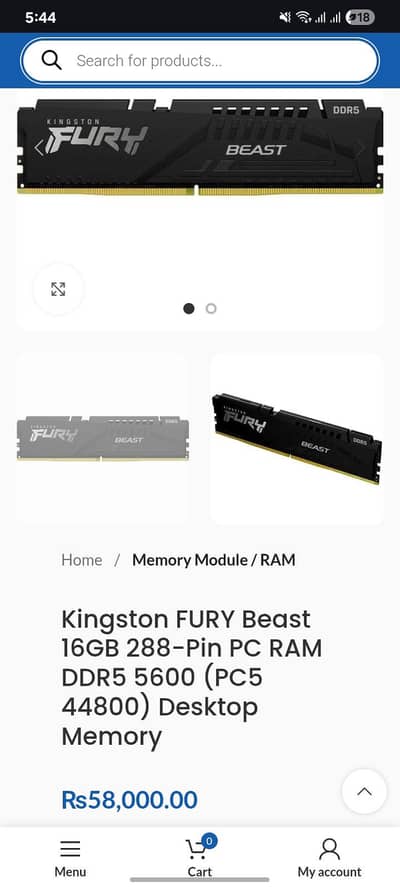 DDR5 Ram | Kingston beast Furry 5600mhz Cl40