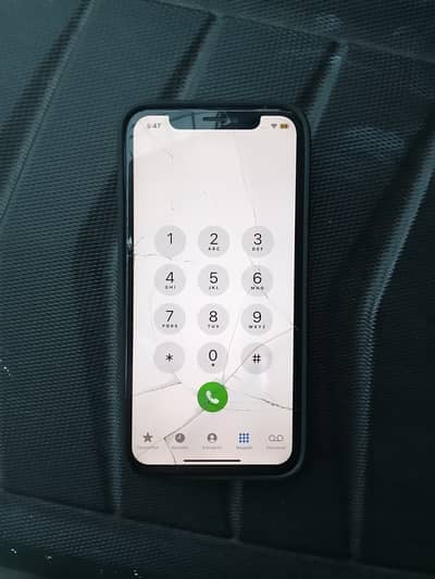 Apple iPhone X
