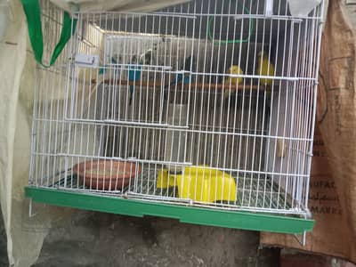 Cage for Sale, Pinjara for Sale
