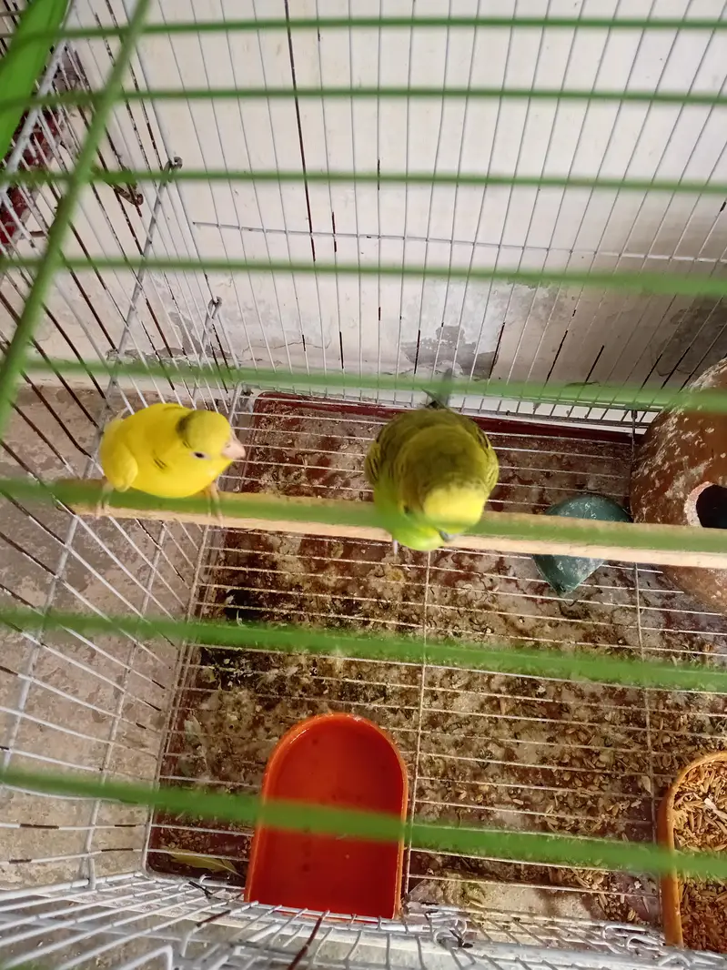 Per pc 700 03154264862 — photo 3