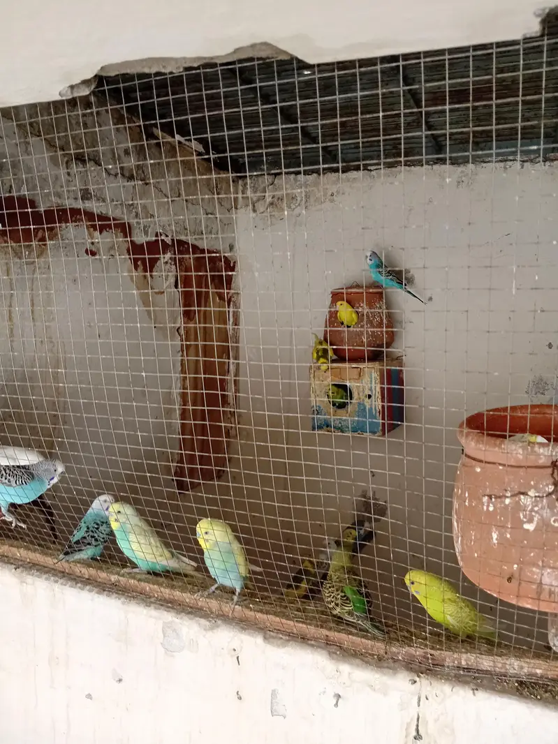 Per pc 700 03154264862 — photo 5