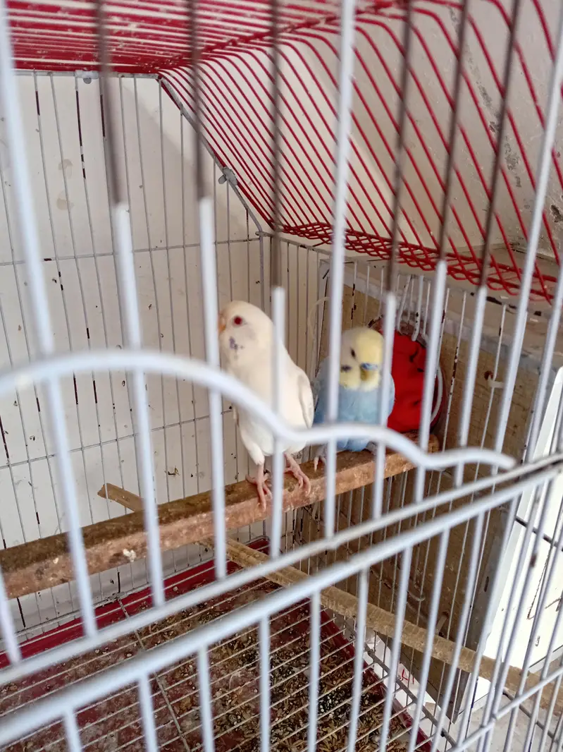Per pc 700 03154264862 — photo 10