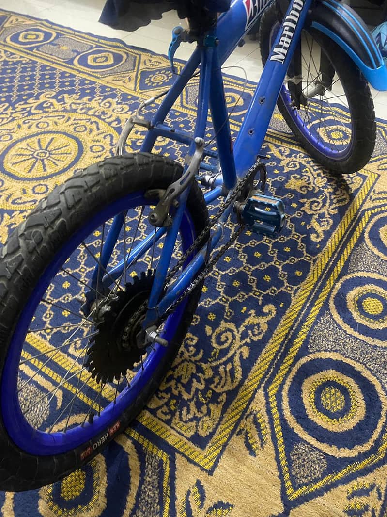 cycle 0