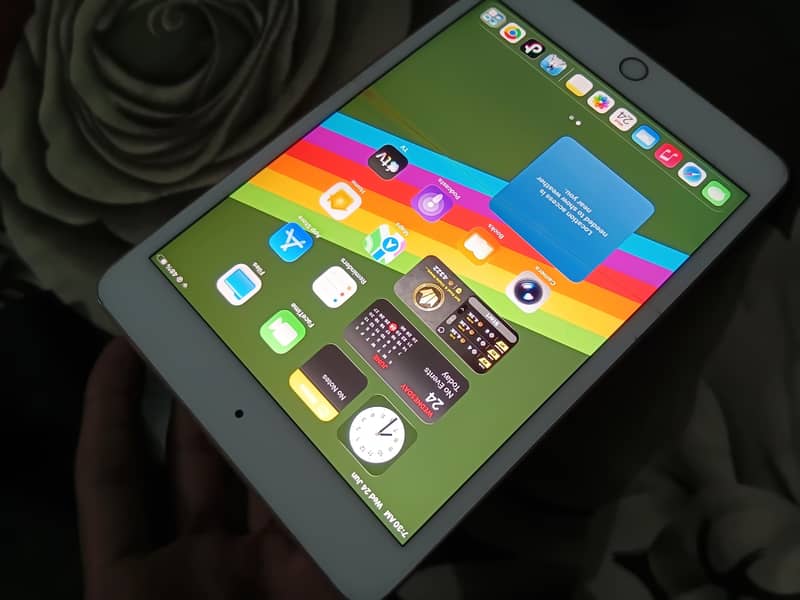 Ipad mini 5 0