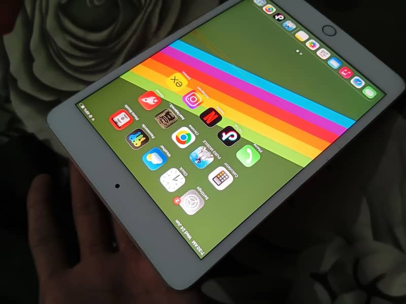 Ipad mini 5 1