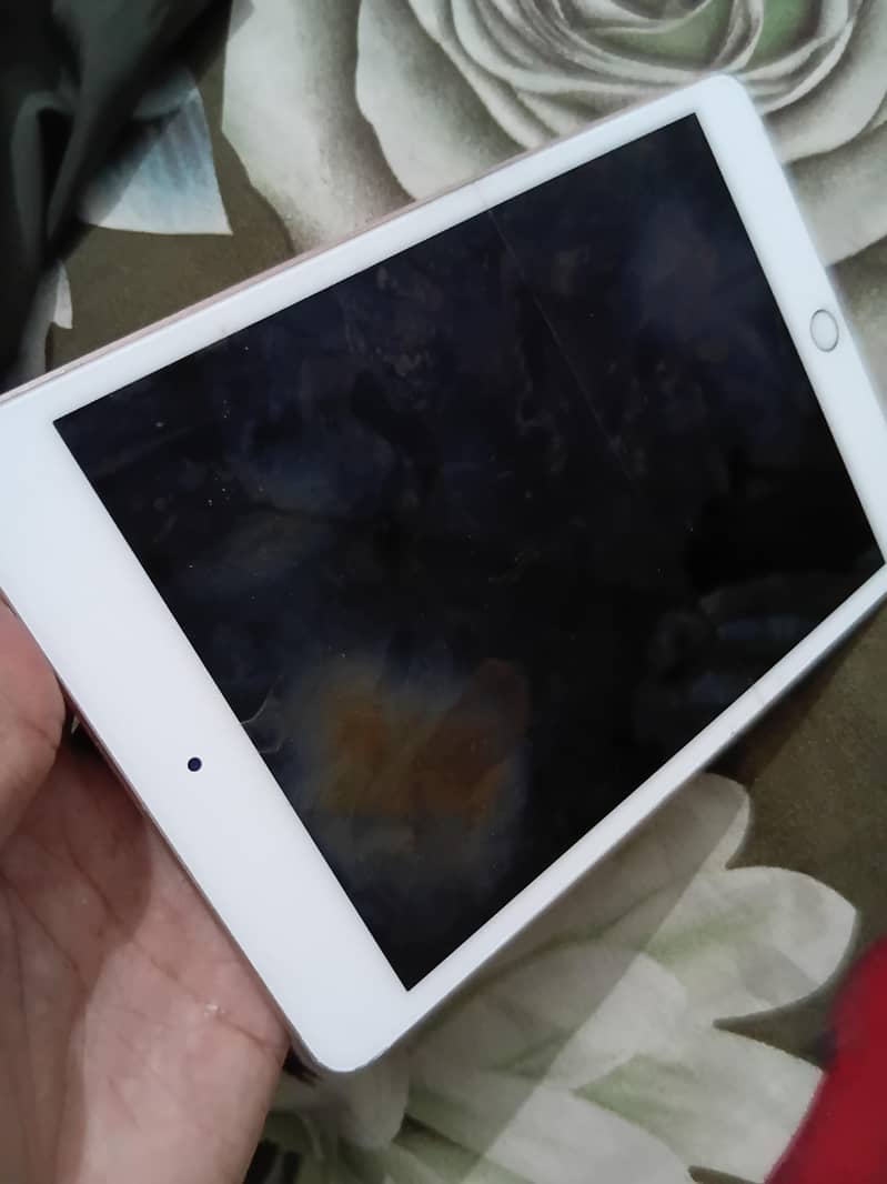 Ipad mini 5 2