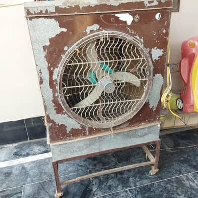 03438491979 کا کریں