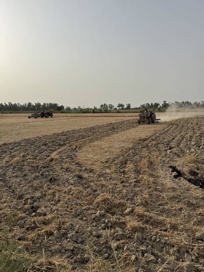 Labour farm gao ki