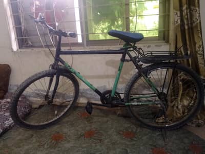 Bicycle full size
