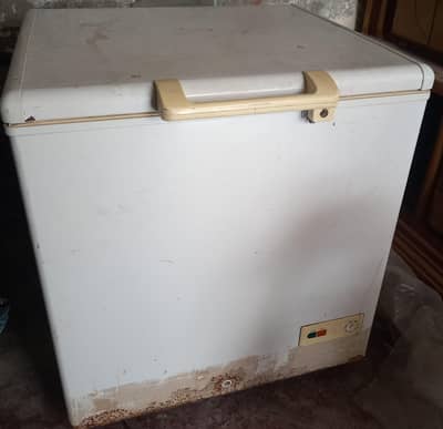 D Faeezers urgent for Sale