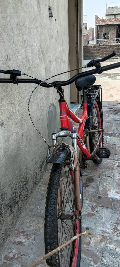 Bicycle