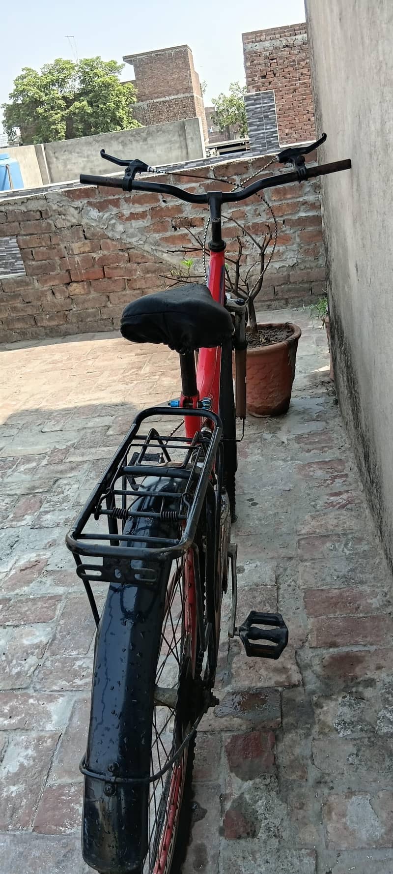 Bicycle 1