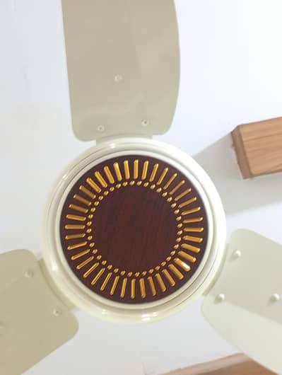 Urgent for sale celling fan 50 watt