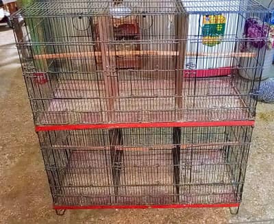 cage pinjra 6 dor and 1 dor khudda