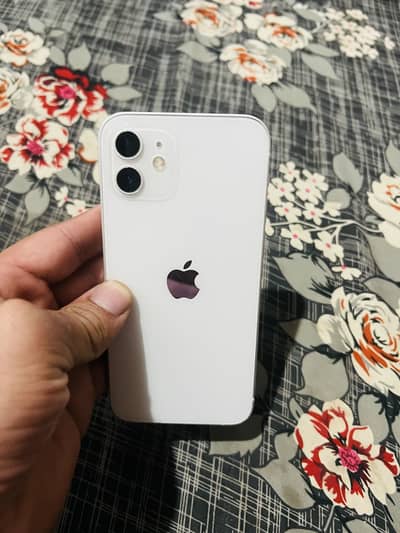 Apple iPhone 12