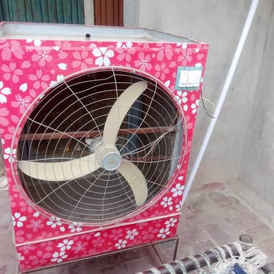 color Dc motor