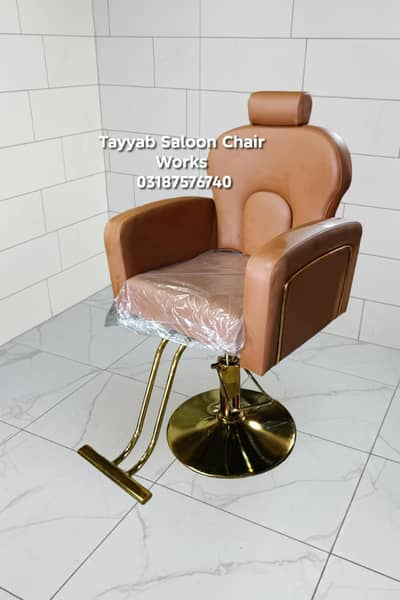 Salon Chair/Saloon Chair/Hair Wash Unit/Pedicure/Facial Bed/Trolley