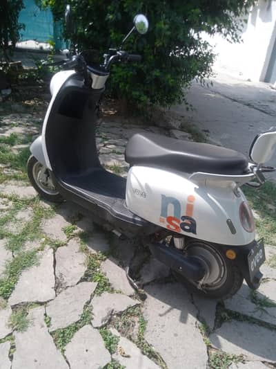 E. Scooty