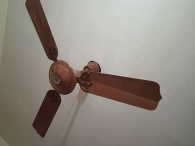 Used Ceiling fans 3 total