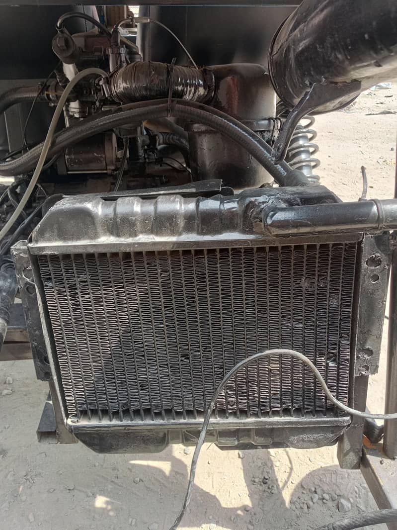 buggy 250cc 11