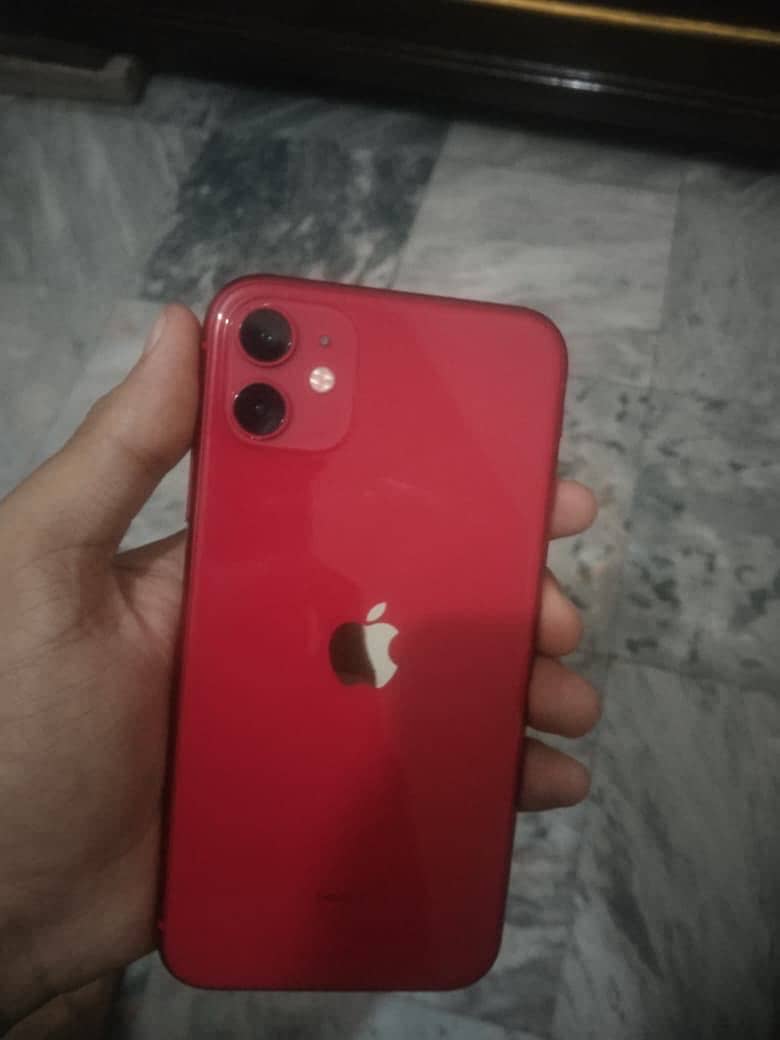 iPhone 11 0