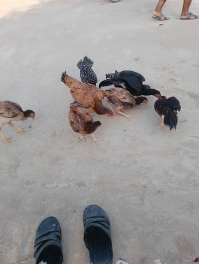 For sale