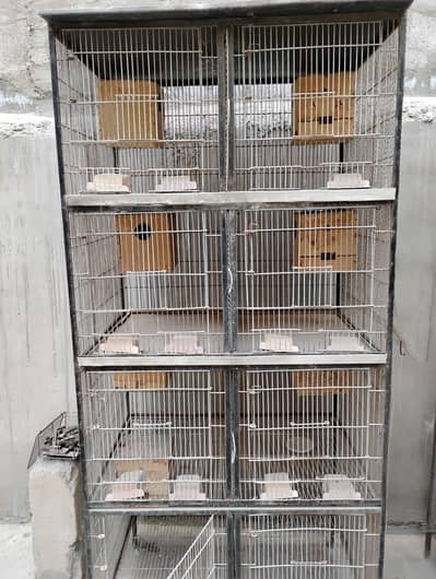 8 portion cage