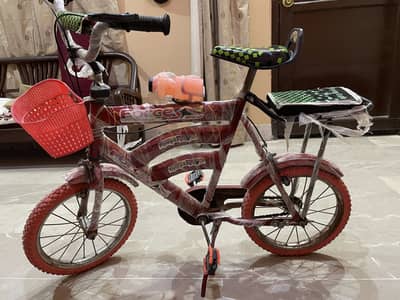 Kids Bicycle Brand New