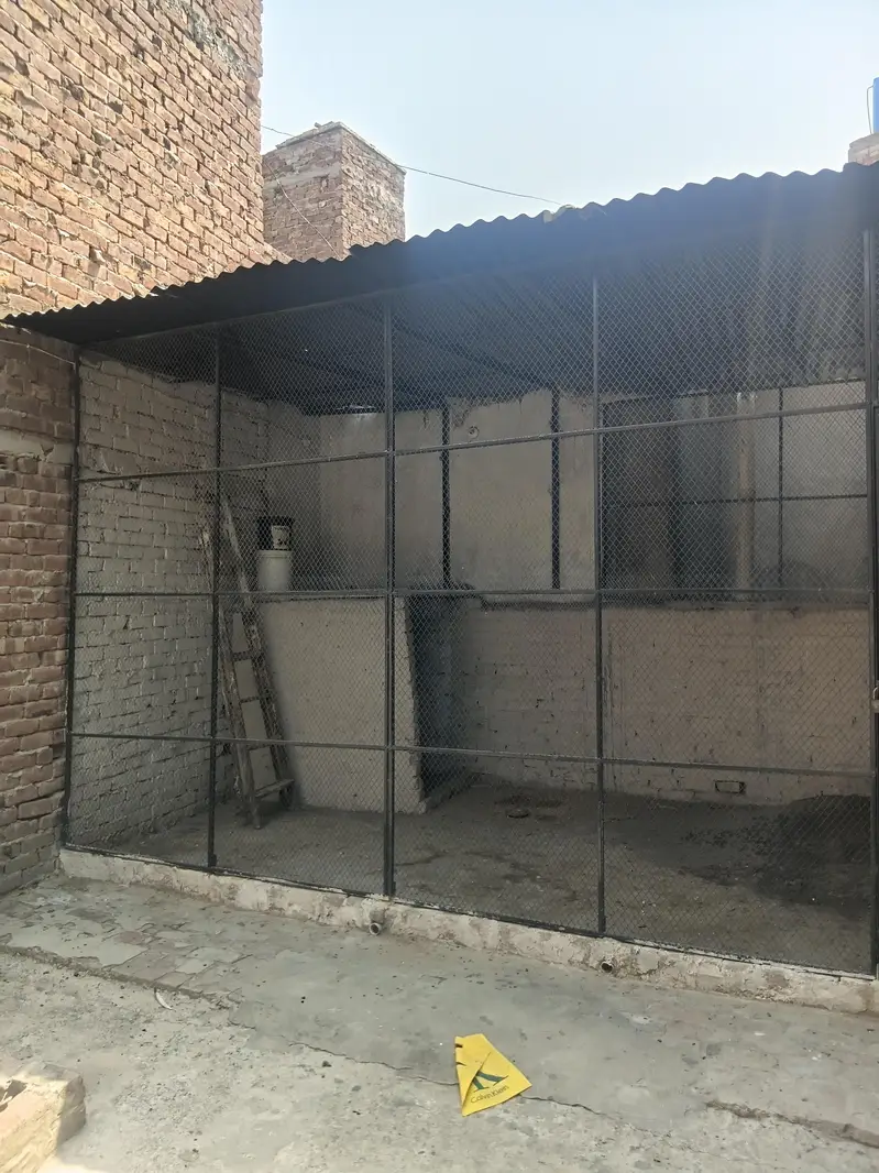 cage hen — photo 2