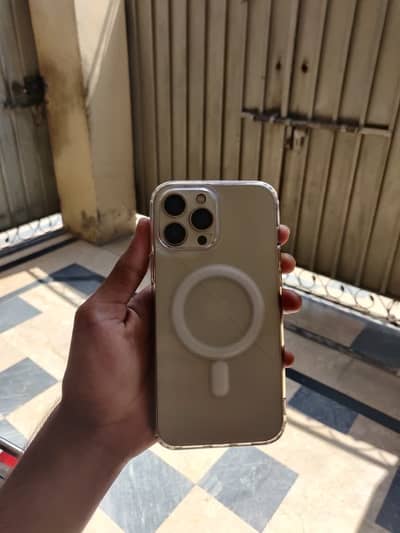 Apple iPhone 13 Pro Max