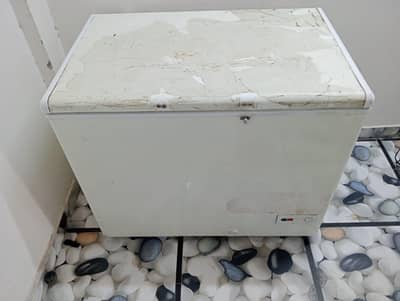 Haier deep freezer single doors jambo cooling/0321/083/33/28/