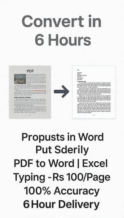 PDF to word| Escel data entry| 6 hours delivery | 100/pages