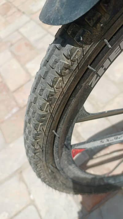 cobalt Mountain bicycle